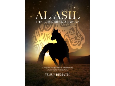 new_book_cover7