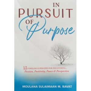 in_pursuit_of_happiness